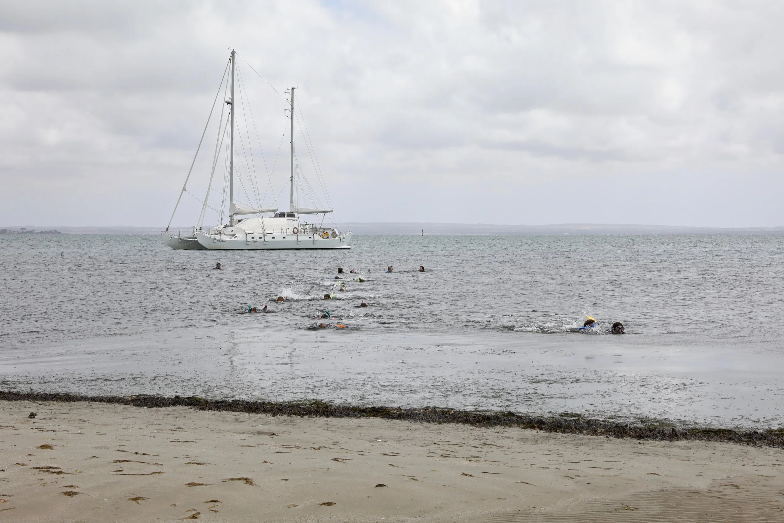 Swimmers heading out to Pelican 1 for a snorkel session